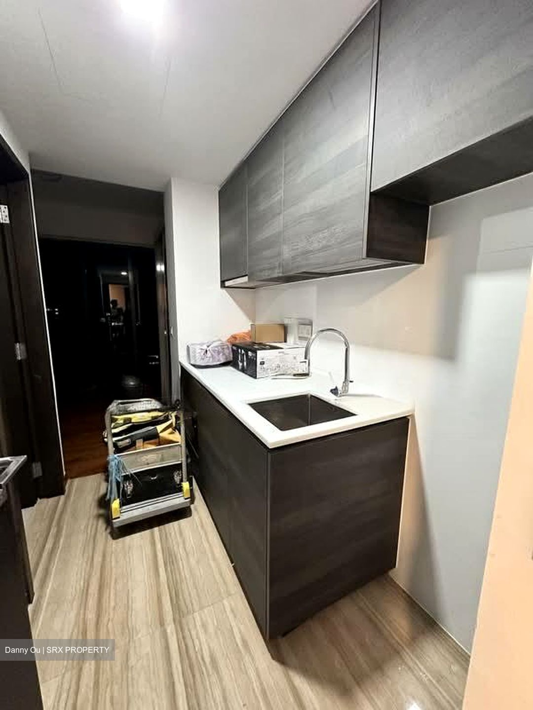 Sims Urban Oasis (D14), Condominium #559164701